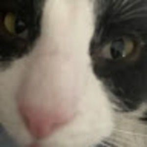 Meet your Posher, So